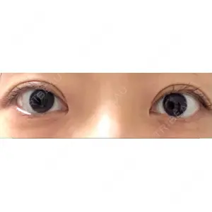 口コミ