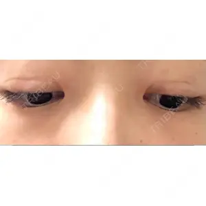 口コミ