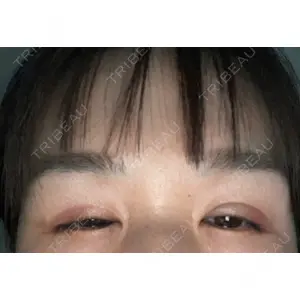 口コミ