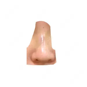 口コミ