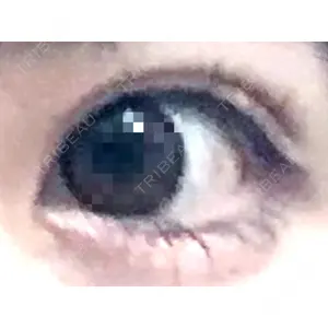 口コミ