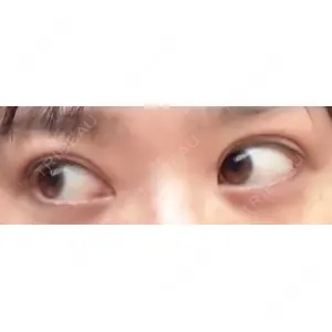 口コミ