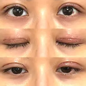 口コミ