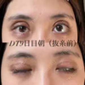 口コミ