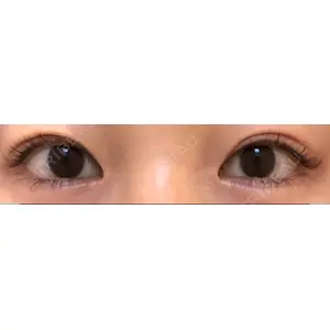 口コミ