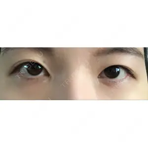 口コミ