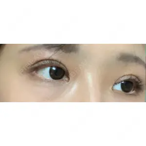 口コミ