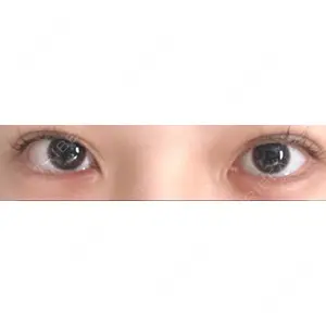 口コミ
