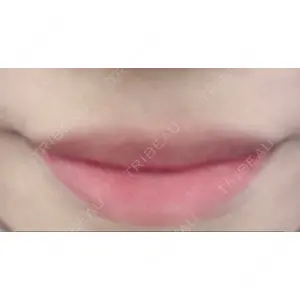 口コミ