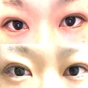 口コミ