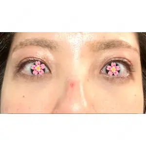 口コミ
