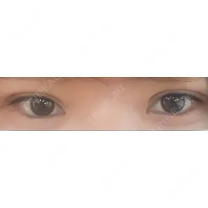 口コミ
