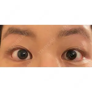 口コミ