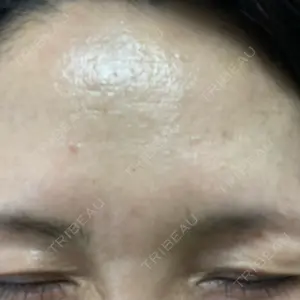 口コミ