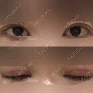 口コミ