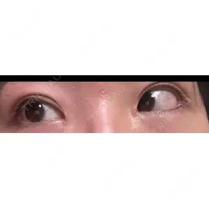 口コミ