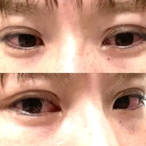 口コミ