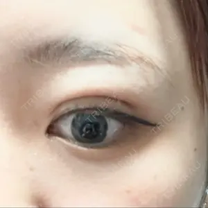 口コミ