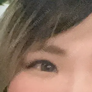 口コミ
