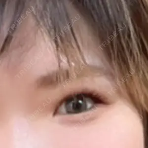 口コミ