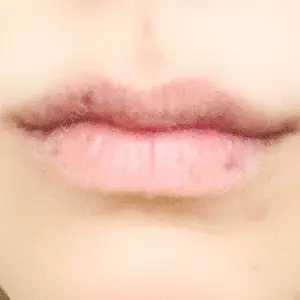 口コミ