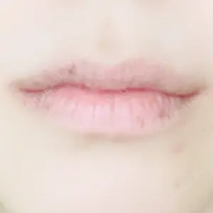 口コミ