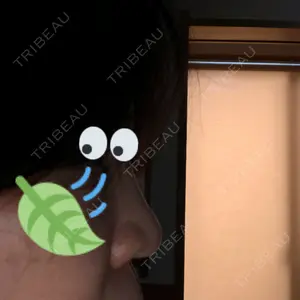 口コミ