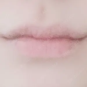 口コミ