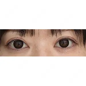 口コミ