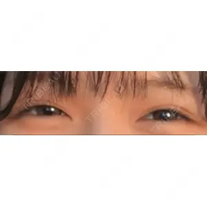 口コミ