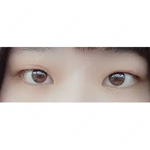 口コミ