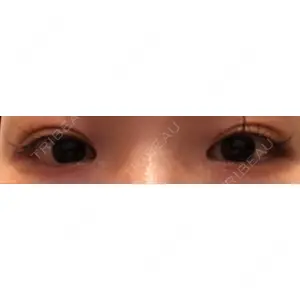 口コミ
