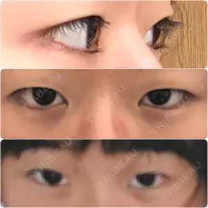 口コミ