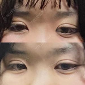 口コミ