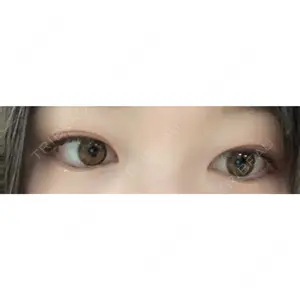 口コミ