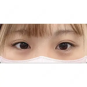 口コミ