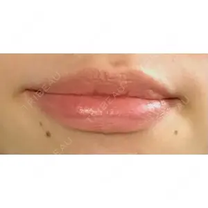 口コミ