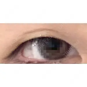 口コミ