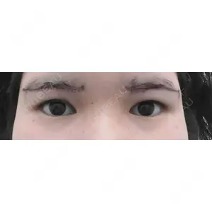 口コミ
