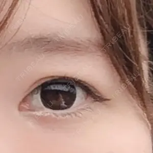 口コミ
