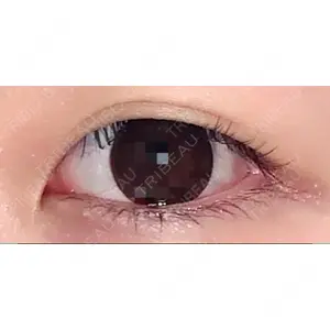 口コミ