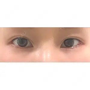 口コミ