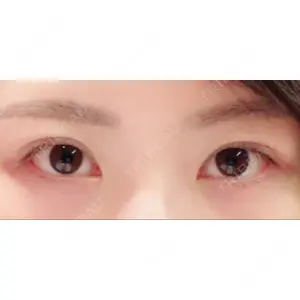 口コミ