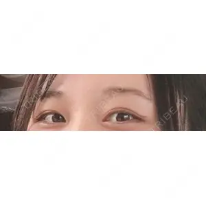 口コミ