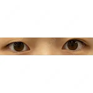 口コミ