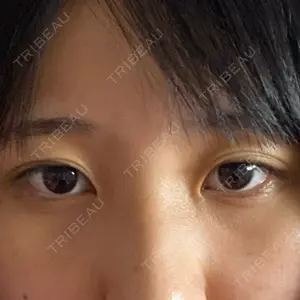 口コミ