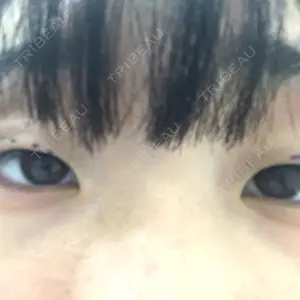 口コミ