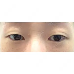 口コミ