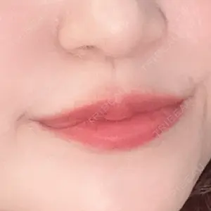 口コミ
