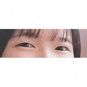 口コミ